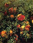 Pomegranates by John Singer Sargent