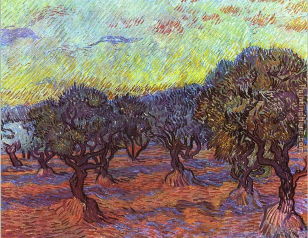 Vincent van Gogh - Vincent van Gogh Olive grove Painting