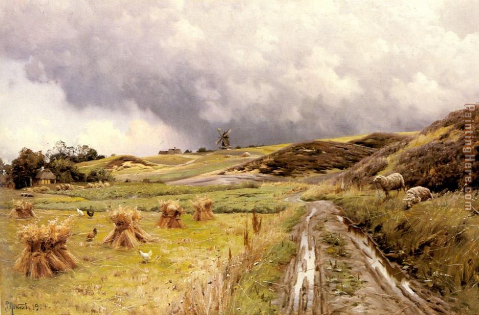 pastoral  landscape