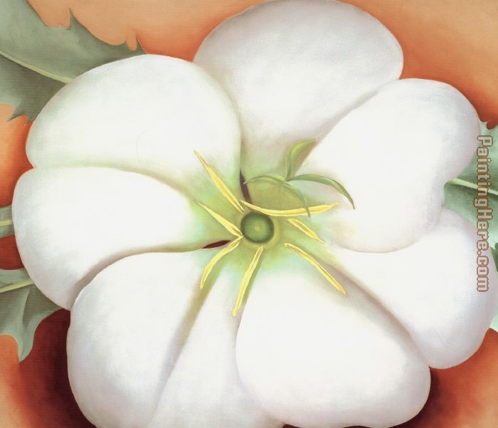 Georgia O Keeffe White Flower On Red Earth No 1 Painting Anysize 50 Off White Flower On Red Earth No 1 Painting For Sale