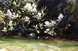 Magnolias by John Singer Sargent