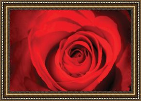 A Bouquet of Roses And Other Flowers in a Glass Goblet with a Chinese Lacquer Box And a Nautilus Cup on a Red Velvet Draped Table Framed Paintings - Red Rose Heart by 2011