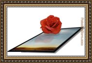 Buy Framed Painting