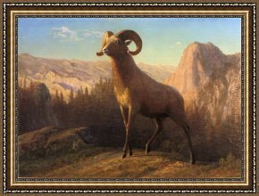 Rocky Coast Framed Paintings - A Rocky Mountain Sheep Ovis Montana by Albert Bierstadt