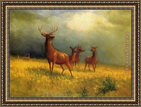 Field I Framed Paintings - Deer in a Field by Albert Bierstadt