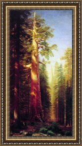 Trees Framed Paintings - The Great Trees Mariposa Grove California by Albert Bierstadt