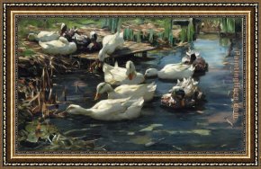 Mallard Duck Framed Paintings - Ducks in a Quiet Pool by Alexander Koester