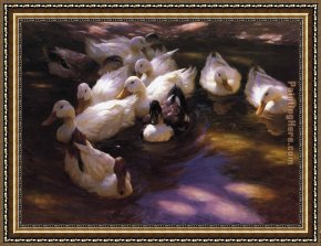 Mallard Duck Framed Paintings - Eleven Ducks in the Morning Sun by Alexander Koester