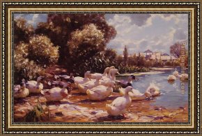 Alexander Framed Paintings - Mid Day Swim by Alexander Koester