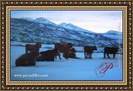 Framed Painting