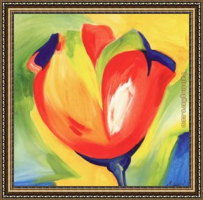 Red Tulip For Sale