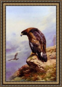 Archibald Thorburn Framed Paintings - A Golden Eagle by Archibald Thorburn
