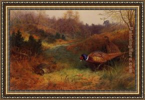 Archibald Thorburn Framed Paintings - Autumn Sunshine by Archibald Thorburn