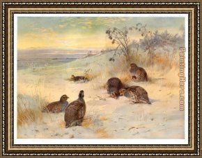 Archibald Thorburn Framed Paintings - Close of a Winter's Day by Archibald Thorburn