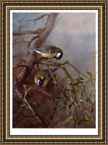 Archibald Thorburn Framed Paintings - Great Tits and Mistletoe by Archibald Thorburn