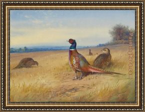 Archibald Thorburn Framed Paintings - Keeping Watch by Archibald Thorburn