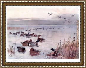 Mallard Duck Framed Paintings - Mallard on the Lake at Sandringham by Archibald Thorburn