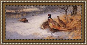 Flushing a Pheasant Framed Paintings - Pheasants in the Snow by Archibald Thorburn