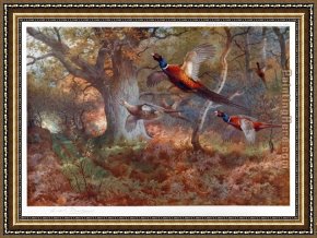 Wood Framed Paintings - Pheasants Through the Oak Wood by Archibald Thorburn