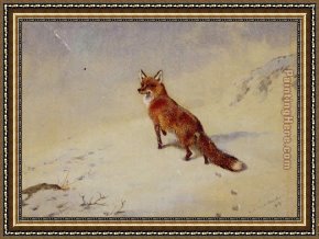 Archibald Thorburn Framed Paintings - Startled by Archibald Thorburn