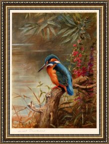 Summer Framed Paintings - Summer Kingfisher by Archibald Thorburn