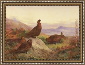 Comming to The Call Framed Paintings - The Morning Call by Archibald Thorburn
