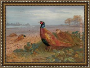 Archibald Thorburn Framed Paintings - The Sentinel by Archibald Thorburn
