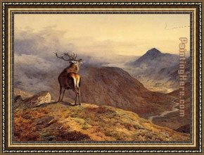 Archibald Thorburn Framed Paintings - Voices of the Forest by Archibald Thorburn