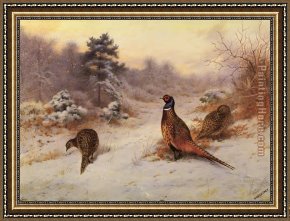 Archibald Thorburn Framed Paintings - Winter's Sunset by Archibald Thorburn