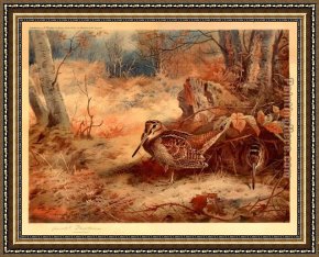 Archibald Thorburn Framed Paintings - Woodcock by Archibald Thorburn