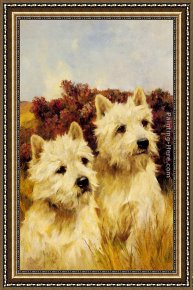 Terriers Framed Paintings - Jacque and Jean, Champion Westhighland White Terriers by Arthur Wardle