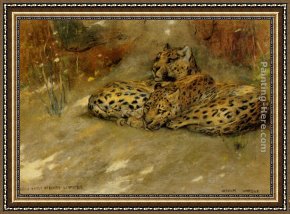 African Framed Paintings - Study Of East African Leopards by Arthur Wardle