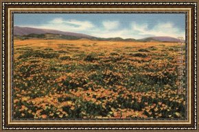 Field I Framed Paintings - A Field of Californian Poppies by Claude Monet