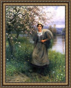 Those Blossoms You Gave So Freely 1 Framed Paintings - Apple Blossoms in Normandy by Daniel Ridgway Knight