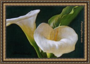 Hardy Framed Paintings - Calla Lily Duo by David Hardy