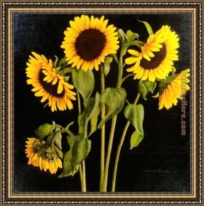 Hardy Framed Paintings - Sunflowers by David Hardy