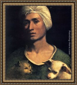 Portrait of a Young Man (detail) Framed Paintings - Portrait Of A Young Man With A Dog And A Cat by Dosso Dossi