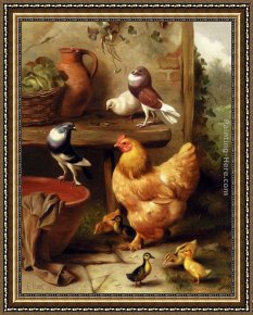 Whiteback Chicken Framed Paintings - A Chicken, Doves, Pigeons And Ducklings by Edgar Hunt