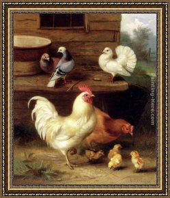 Feeding The Pigeons Framed Paintings - A Cockerel, Hen And Chicks With Pigeons by Edgar Hunt