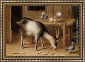 Pigeons Framed Paintings - A Goat and Pigeons In a Farmyard by Edgar Hunt
