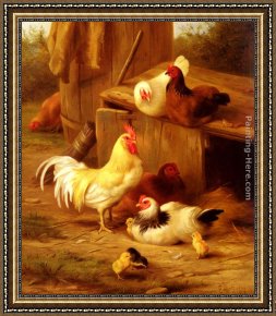 Whiteback Chicken Framed Paintings - Chickens And Chicks by Edgar Hunt