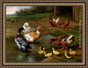 Mallard Duck Framed Paintings - Chickens, Ducks and Ducklings Paddling by Edgar Hunt
