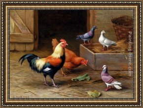 Whiteback Chicken Framed Paintings - Chickens, Pigeons and a Dove by Edgar Hunt