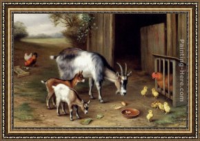 Goats, Framed Paintings - Goats And Poultry by Edgar Hunt