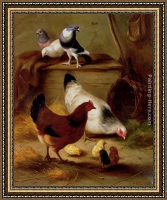 Whiteback Chicken Framed Paintings - Pigeons And Chickens by Edgar Hunt