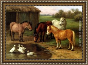 Ponies, a Calf And Poultry in a Farmyard Framed Paintings - Ponies By A Pond by Edgar Hunt