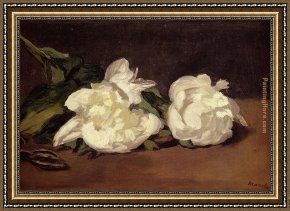 Snow White Discovers The Cottage Framed Paintings - Branch Of White Peonies With Pruning Shears by Edouard Manet