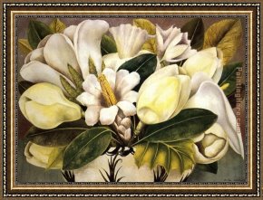 Frida Framed Paintings - Magnolias by Frida Kahlo