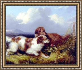 Flushing a Pheasant Framed Paintings - Spaniels Flushing Game by George Armfield