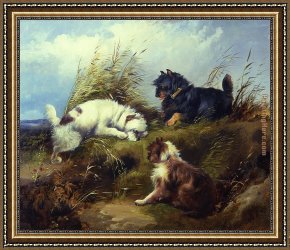 Terriers Framed Paintings - Terriers by George Armfield